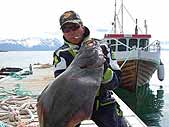 Norwegia owisko morskie Karlsoy - halibut